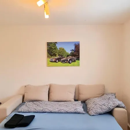 Grosse Schoene Ferienwohnung Mit Balkon, Garten, Grill Apartment